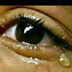 Meet your Posher, Dorsainvil